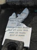 
Joseph James ??
D: 17 Dec ??
aged 20

Robert Dynes HANSEN
6 Apr 1945
aged 55

Albany Creek Cemetery, Pine Rivers

