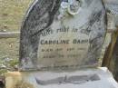 
Caroline BAHR,
died 3 Ape 1918 aged 79 years;
Alberton Cemetery, Gold Coast City
