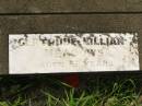 
Gertrude Lillian MEADOWS,
aged 58 years;
Appletree Creek cemetery, Isis Shire
