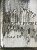 
Antony T. PERSKE,
died 18 May 1911 aged 24 years;
Emilie O. SPRAKE,
died 1 Dec 1906 aged 29 years,
erected by mother C.M. PERSKE;
Appletree Creek cemetery, Isis Shire
