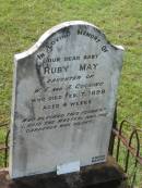 
Ruby May,
baby daughter of W.E. & A. COCKING,
died 7 Feb 1898 aged 4 weeks;
Appletree Creek cemetery, Isis Shire
