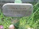 
Matthew RYAN,
23-02-1891 - 20-07-1976;
Appletree Creek cemetery, Isis Shire
