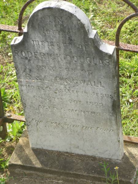Roderick Douglas,  | only son of R. & L. DINGWALL,  | died 27 Oct 1899 aged 6 months;  | Appletree Creek cemetery, Isis Shire  | 