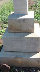
Bridget LEE
native of Ennis, Co Clare, Ireland
d: 12 Dec 1911 aged 64
wife of Patrick LEE

Aubigny Catholic Cemetery, Jondaryan

