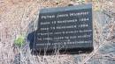 
Peter John MURPHY
b: 10 Nov 1954
d: 13 Nov 1954
first born of John and Shirley MURPHY

Aubigny Catholic Cemetery, Jondaryan

