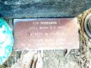 
Roseanne V,
stillborn 3-4-1993;
Beerwah Cemetery, City of Caloundra
