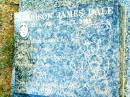 
Harrison James DALE,
17-5-2005 - 31-5-2005,
love mummy daddy,
brother of Britney;
Beerwah Cemetery, City of Caloundra
