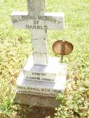 
Harold, son of J. & M. JONES,
died 8 April 1914 aged 3 years 9 months;
Bell cemetery, Wambo Shire
