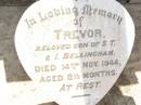 
James MATTHEWS,
husband father,
died 3 Aug 1918 aged 45 years;
Trevor, son of S.T. & I. BELLINGHAM,
died 14 Nov 1944 aged 8 12 months;
Amelia MATTHEWS,
wife of James,
18-8-1881 - 25-10-1974;
Bell cemetery, Wambo Shire
