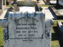 
Caroline E FELS
29 Nov 1917
aged 84

Bethania (Lutheran) Bethania, Gold Coast
