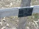 
Bryson "Sonny" NOLAN
B: 19 Sep 1938
D:  7 Feb 1999

Bethel Lutheran Cemetery, Logan Reserve (Logan City)

