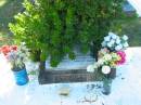 
Florence Maud DREGHORN,
mother,
died 6 Aug 1966 aged 61 years;
Peter DREGHORN,
husband father,
died 5 Sept 1953 aged 67 years;
Blackbutt-Benarkin cemetery, South Burnett Region
