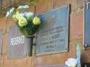 
John RUSSELL,
husband father,
died 10 May 1993 aged 70 years;
Bribie Island Memorial Gardens, Caboolture Shire
