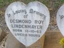 
Desmond Roy LINDENMAYER,
born 13-10-63 aged 6 hours;
Diane Dawn LINDENMAYER,
born 13-10-63 aged 6 days;
Caffey Cemetery, Gatton Shire
