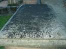 
Ellen SHEEHAN
wife of William SHEEHAN
died ...mber? 12th 1865,
...brother of the above
died ... 1 day,
Jane daughter of the above
died May .. 1866? aged 11 days,
William SHEEHAN
aged 68 years

Christ Church (Anglican), Milton, Brisbane
