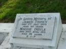 
James TRIHEY,
died 11 July 1909 aged 88 years;
Maggie DOYLE,
died 24 April 1971 aged 86 years;
Sacred Heart Catholic Church, Christmas Creek, Beaudesert Shire

