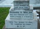 
Richard A. WALSH, son,
died 23 Feb 1913 aged 3 years 11 months;
Sacred Heart Catholic Church, Christmas Creek, Beaudesert Shire
