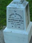 
William Benedict ROHAN, son,
died 19 April 1920 aged 3 years;
Sacred Heart Catholic Church, Christmas Creek, Beaudesert Shire
