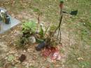 

Diddillibah Cemetery, Maroochy Shire


