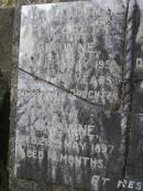 
Elizabeth BROWNE
d: 11 May 1958 aged 90

George Henry BROWNE
d: 11 Mar 1960 aged 92

daughter
Eva BROWNE
d: 23 May 1897 aged 18 mo

Diddillibah Cemetery, Maroochy Shire

