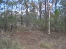 
Douglas Catholic cemetery, Crows Nest Shire
