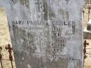 
Mary Paulina GESLER,
wife of Otto GESLER,
born 13 March 1861
died 6 October 1900 aged 39 years;
Gustaf Richard GESLER,
born 13 November 1884
died 22 February 1916 aged 31 years;
Douglas Lutheran cemetery, Crows Nest Shire

