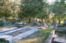 
In loving memory of
our dear father & mother
Ellis and Deborah
CRAMPTON;
South Brisbane (Dutton Park) Cemetery
