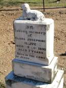 
Clara Josephine GILLIVER,
died 25 Oct 1892 aged 7 years;
Fernvale General Cemetery, Esk Shire

