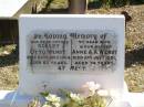 
Robert Otto WENDT, father,
died 25 July 1964 aged 83 years;
Anne A.A. WENDT, wife mother,
died 2 July 1951 aged 74 years;
Fernvale General Cemetery, Esk Shire
