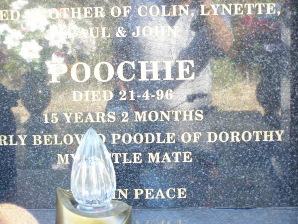BROWELL;  | Dorothy Olive ROTHWELL BOF DARBY,  | 29-4-32 - ,  | mother of Colin, Lynette, Paul, John,  | Terry (dec) & twins Julie Ann Mary &  | Jacob Peter Hendrick (dec),  | interred Lakes Entrance Vic;  | Terry John DARBY,  | 26-12-58 - 22-4-98 aged 40,  | father of Sarah & Anna DARBY,  | son of Dorothy,  | brother of Colin, Lynette, Paul & John;  | Poochie,  | died 21-4-96 aged 15 years 2 months,  | poodle of Dorothy;  | JEWELL;  | ROTHWELL;  | Fernvale General Cemetery, Esk Shire  |   | 