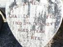 
Charles F. JEFFES,
died 2 Dec 1923 aged 1 year 6 months;
Forest Hill Cemetery, Laidley Shire
