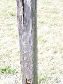 
Andrew HAYLEY,
1936 ?? 17;
Forest Hill Cemetery, Laidley Shire
