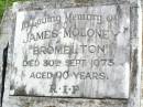 
James MOLONEY,
of Bromelton,
died 30 Sept 1973 aged 90 years;
Gleneagle Catholic cemetery, Beaudesert Shire
