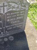 
Richard Bamsey TRACE, husband father,
died 9 Jan 1950 aged 71 years;
Agnes Mary TRACE, wife mother,
died 25 March 1967? aged 85 years;
Gleneagle Catholic cemetery, Beaudesert Shire
