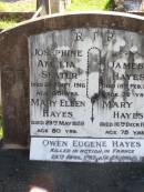 
Josephine Amelia SLATER,
died 28 Sept 1916 aged 45 years;
Mary Ellen HAYES,
died 29 May 1959 aged 80 years;
James HAYES,
died 18 Feb 1917 aged 72 years;
Mary HAYES,
died 16 Dec 1929 aged 75 years;
Owen Eugene HAYES,
killed in action France
24 April 1917 aged 24 years;
Gleneagle Catholic cemetery, Beaudesert Shire
