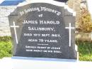 
James Harold SALISBURY,
died 10 Sept 1967 aged 79 years;
Gleneagle Catholic cemetery, Beaudesert Shire
