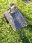 
Cloudon Jesha HOOK-DRIES, baby daughter,
7.55 - 9.30am 12 Sept 95;
Gleneagle Catholic cemetery, Beaudesert Shire
