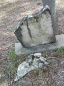 
John Nivic? SMITH
8 Sep 1914
75 yrs

Goodna General Cemetery, Ipswich.

