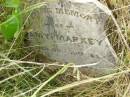 
Amy MARKEY,
died 30 Oct 1920 aged 29 years;
Goomeri cemetery, Kilkivan Shire
