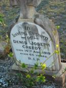 
Denis Joseph CREEDY,
died 14 Aug 1919 aged 66 years;
Grandchester Cemetery, Ipswich
