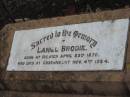 
Daniel BRODIE,
born Ipswich 23 April 1870,
died Greenmount 4 Nov 1924;
Greenmount cemetery, Cambooya Shire
