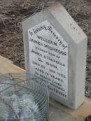 
William James McGregor,
eldest son of James & Isabella DAVIDSON,
died 20 Sept 1923 aged 19 years;
Greenmount cemetery, Cambooya Shire
