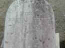 
Percy Christian FREDRICH
11 Nov 1885 aged 9 weeks
Haigslea Lawn Cemetery, Ipswich
