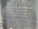 
Gottleib HERTWECK
b: 25 Oct 1846?, d: 25 Jul 1896 aged 50?
Haigslea Lawn Cemetery, Ipswich
