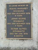 
Rosina Margaret SCHWARZ
25 Dec 1876 aged 9 years
Johan George SCHWARZ
25 Dec 1876, aged 7 years
George Alfred SCHWARTZ
died 18 Jun 1879
Haigslea Lawn Cemetery, Ipswich
