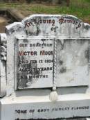 
Victor MOON,
son,
died 12 Feb 1926 aged 7 years 8 months;
Howard cemetery, City of Hervey Bay

