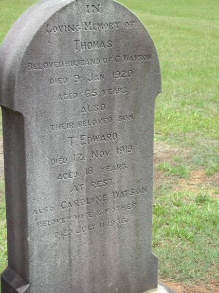 Thomas,  | husband of C. WATSON,  | died 9 Jan 1920 aged 65 years;  | T. Edward,  | son,  | died 12 Nov 1919 aged 18 years;  | Caroline WATSON,  | wife mother,  | died 11 July 1936;  | Howard cemetery, City of Hervey Bay  | 