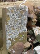 
...n G Navbr
        1869
   Oct  1889
Hoya Lutheran Cemetery, Boonah Shire

