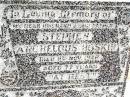 
Stephen Archelous HOSKIN,
husband father,
died 9 Nov 1948 aged 77 years;
Jandowae Cemetery, Wambo Shire
