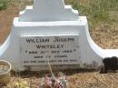 
William Joseph WHITELEY,
died 21 Oct 1959 aged 77 years;
Jandowae Cemetery, Wambo Shire
